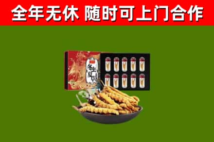 桦南县回收冬虫夏草价格