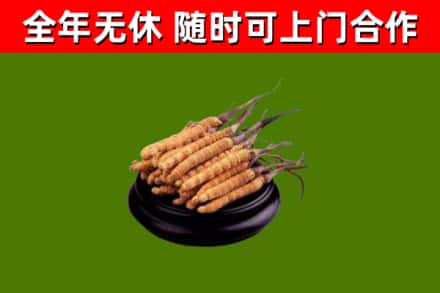 桦南县烟酒回收冬虫夏草.jpg